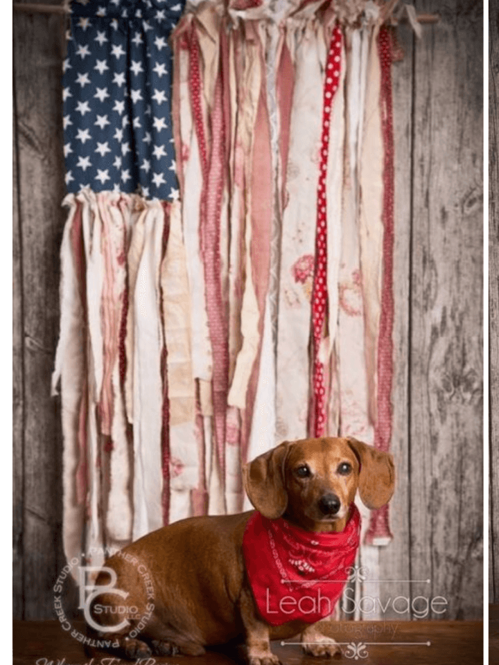 Fabric Flags