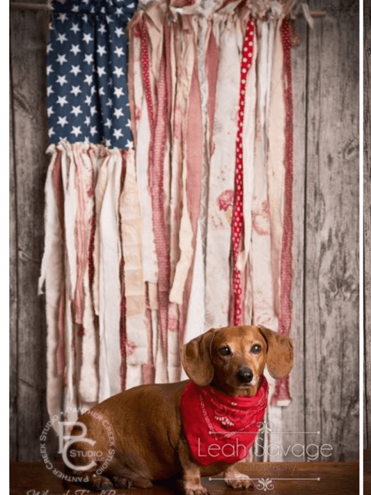 Fabric Flags