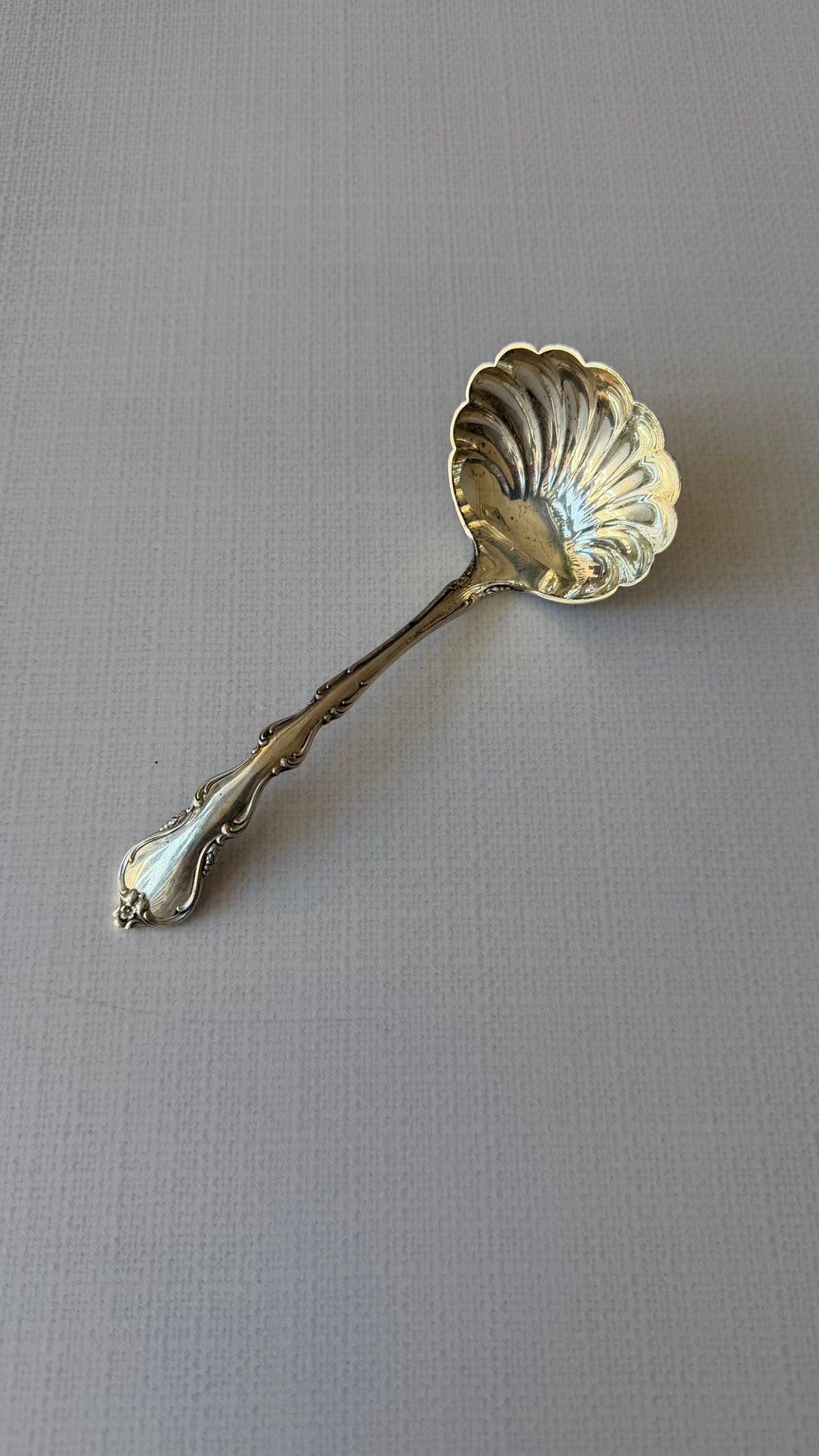 Gravy ladle with shell bowl