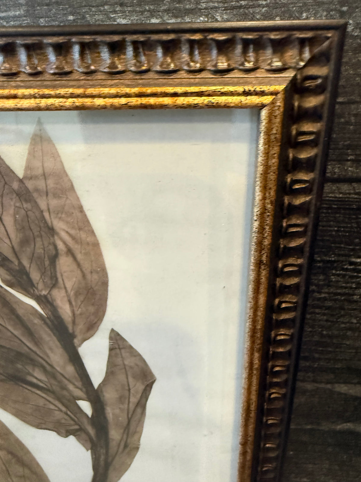1933 Vintage Languid Lady Herbarium Framed Print – Emery Whilton Botanical Art (12" x 16.5")